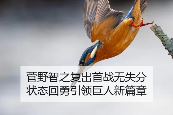jian-ye-zhi-zhi-fu-chu-shou-zhan-wu-shi-fen-zhuang-tai-hui-yong-yin-ling-ju-ren-xin-pian-zhang-2-804.jpg